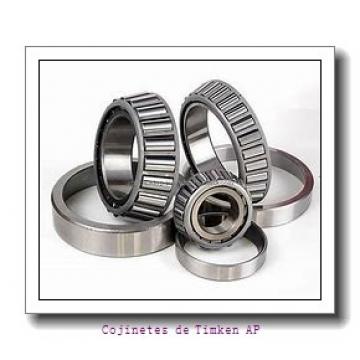 Backing ring K85580-90010        Cojinetes industriales AP