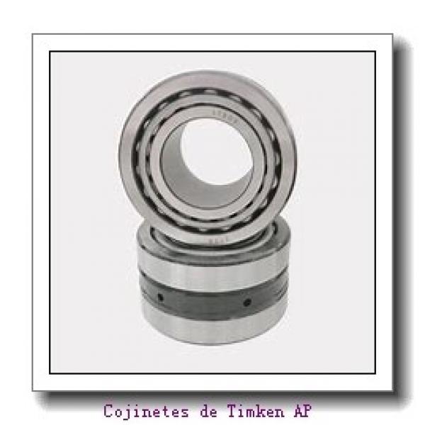 Backing ring K85580-90010        Cojinetes industriales AP #1 image