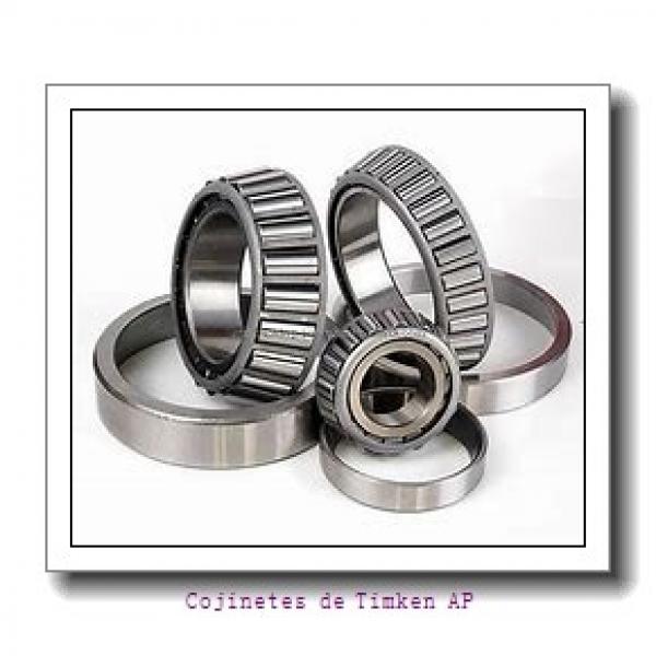 Backing ring K85580-90010        Cojinetes industriales AP #2 image
